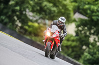 PJ-Motorsport-Photography-2020;anglesey;brands-hatch;cadwell-park;croft;donington-park;enduro-digital-images;event-digital-images;eventdigitalimages;mallory;no-limits;oulton-park;peter-wileman-photography;racing-digital-images;silverstone;snetterton;trackday-digital-images;trackday-photos;vmcc-banbury-run;welsh-2-day-enduro